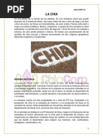 Chia Corp Sa Informe Ultimo