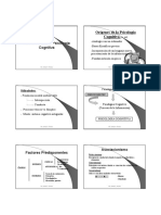 Introducción A La Psicología Cognitiva-Dra. Ferraina