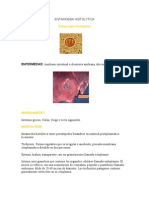 Entamoeba Histolytica y Coli