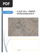 iNFORME CALICATA