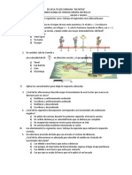 Examen Fisica II - Telesecundaria