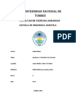 Informe de Agrotecnia