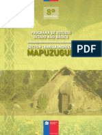 Programa - Lengua Indigena - Mapuzungun - 8º Año