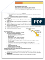 Week 1 Renal Physiology and Intro To Urinalysis (Lecture)