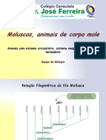 Moluscos PDF