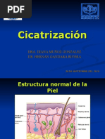 Cicatrización