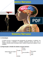 Aula 6-Sist - Nervoso