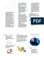 Triptico de Epilepsia