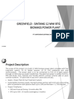 Executive Summary - Sintang 12 MW BTG Biomass Power Plant