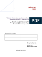 Crisis de Panico Una Experiencia Exitos PDF