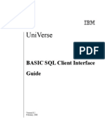 IBM Universe BCI