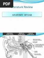 CSOM Retroauricular Fistula