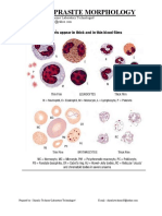 Malaria Prasite Morphology: Prepared By: Shimelis Teshome/ Laboratory Technologist