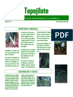 Folleto Tepejilote