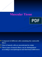 Histology, Lecture 5, Muscular Tissue (Slides)