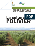 La Culture de L'olivier