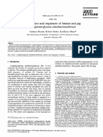 The Amino Acid Sequences of Human and Pig L-Arginine:glycine Amidinotransferase