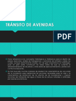 Tránsito de Avenidas