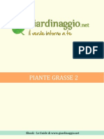 Piante Grasse 2