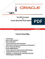 The ERP in Oracle EB Suite 11