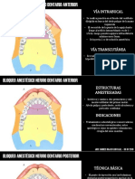 Bloqueo Nervio Dentario Anterior - Posterior