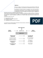 Proyecto de Creacion de Una Empresa PDF