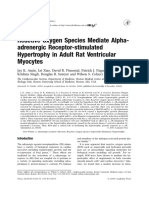 Amin Et Al. - 2001 - Reactive Oxygen Species Mediate Alpha-Adrenergic Receptor-Stimulated Hypertrophy in Adult Rat Ventricular Myocytes PDF