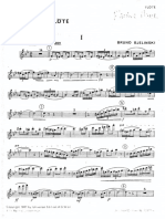 B Bjelinski Flute Concerto FL PDF