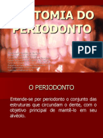 Anatomia Do Period On To