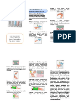 Leaflet Penggunaan Supp