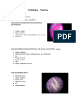 Histología Practica 