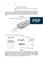 Bacterias y Virus