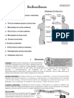 Sistema Endocrino