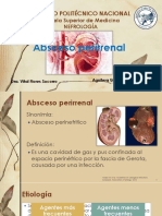 Absceso Perirrenal