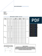 Formato Protocolo de Verticalidad