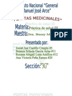 Plantas Medicinales