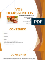 Cultivos Transgenitos