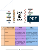 ADN vs. ARN