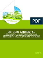 Estudio Ambiental Banda de Shilcayo