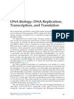 DNA Biology: DNA Replication, Transcription, and Translation