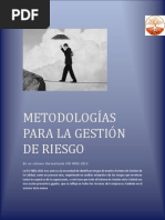 Metodología Gestión Del Riesgo