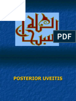 Posterior Uveitis