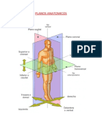 Planos Anatomicos