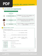 Adaptacion 1 123167 PDF