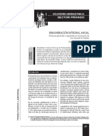 Remuneracion Anual Integrada PDF