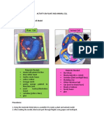 Plant and Animal Cell