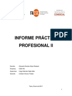 Informe Práctica Profesional 2