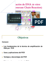 Amplificación de DNA: PCR (Polymerase Chain Reaction) : in Vitro