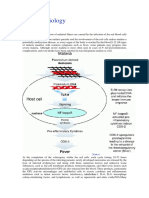 Pathophysiology of Malaria