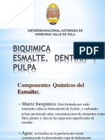 Bioquimica de La Pulpa Dental Grupo